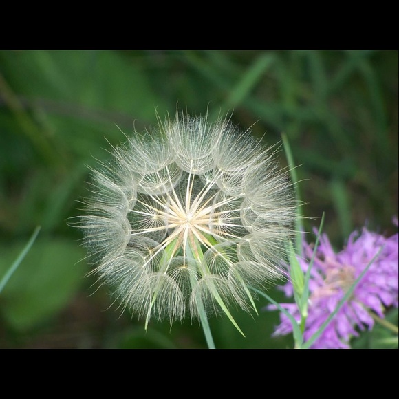 I’m Angela 🎀BREAST 🎀CANCER 🎀WARRIOR - Picture 5 of 8